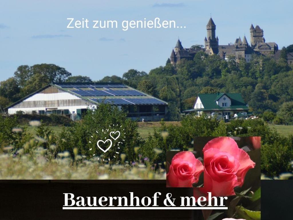 Kleine Einzigartige Ferienwohnung Auf Dem Bauernhof, Direkt In Der Natur Mit Blick Auf Schloss 바라운펠츠 외부 사진