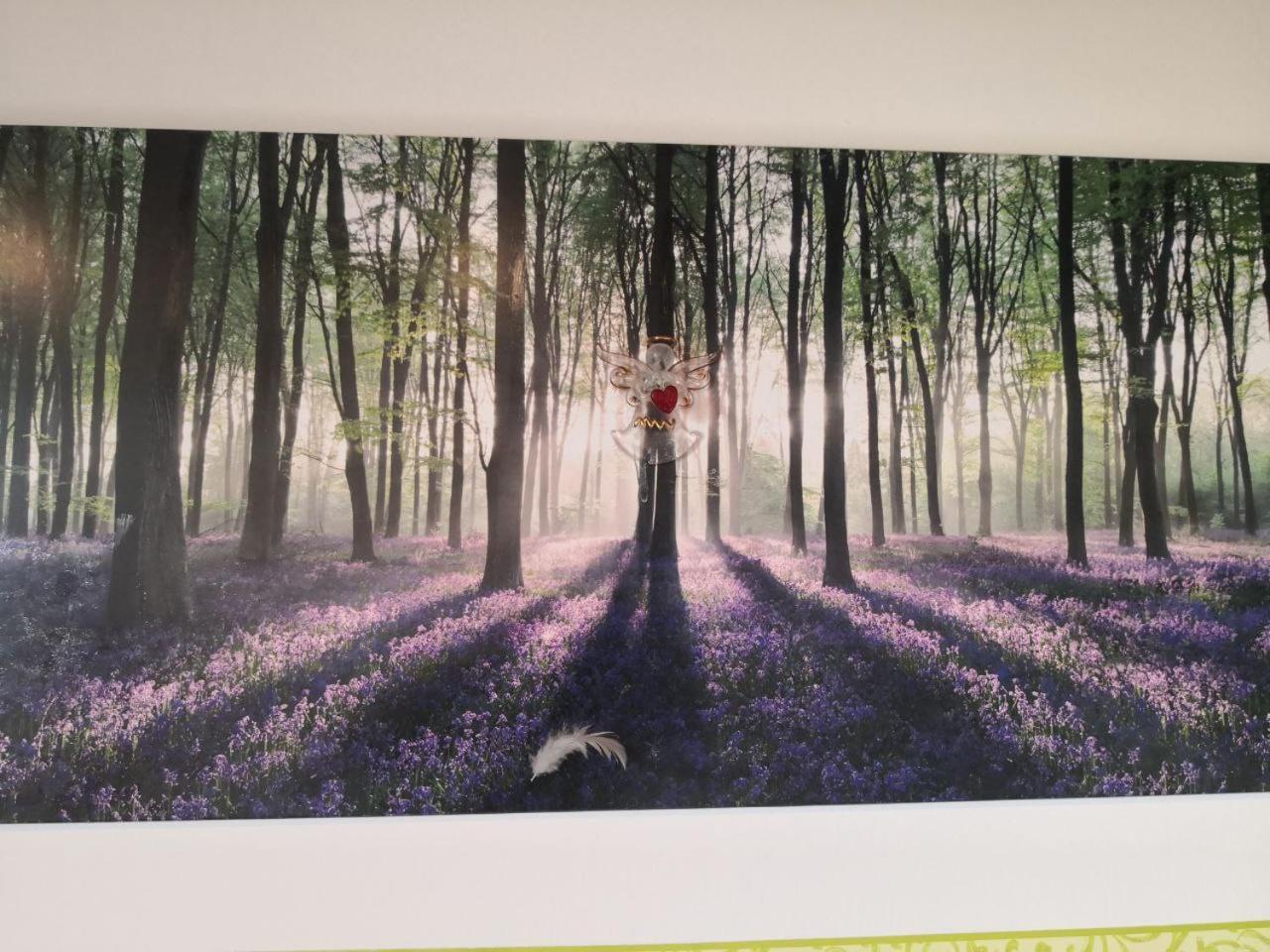 Kleine Einzigartige Ferienwohnung Auf Dem Bauernhof, Direkt In Der Natur Mit Blick Auf Schloss 바라운펠츠 외부 사진