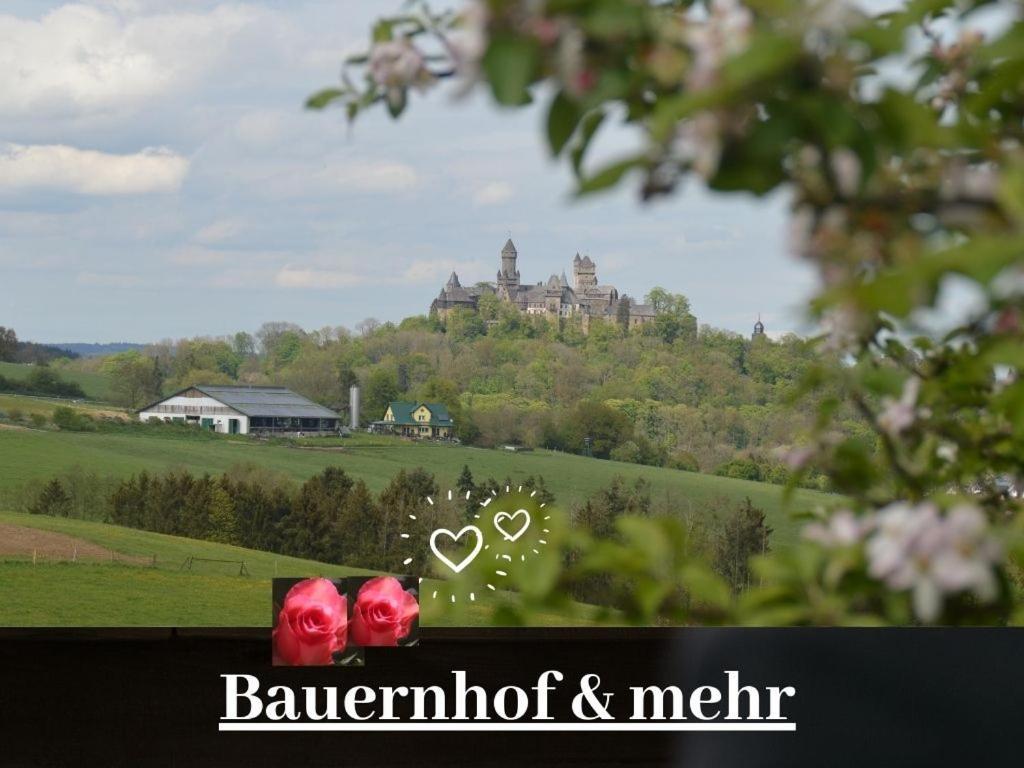 Kleine Einzigartige Ferienwohnung Auf Dem Bauernhof, Direkt In Der Natur Mit Blick Auf Schloss 바라운펠츠 외부 사진